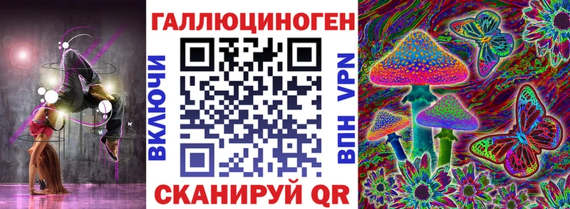 хочу   Кулебаки  Псилоцибиновые грибы Cubensis 
